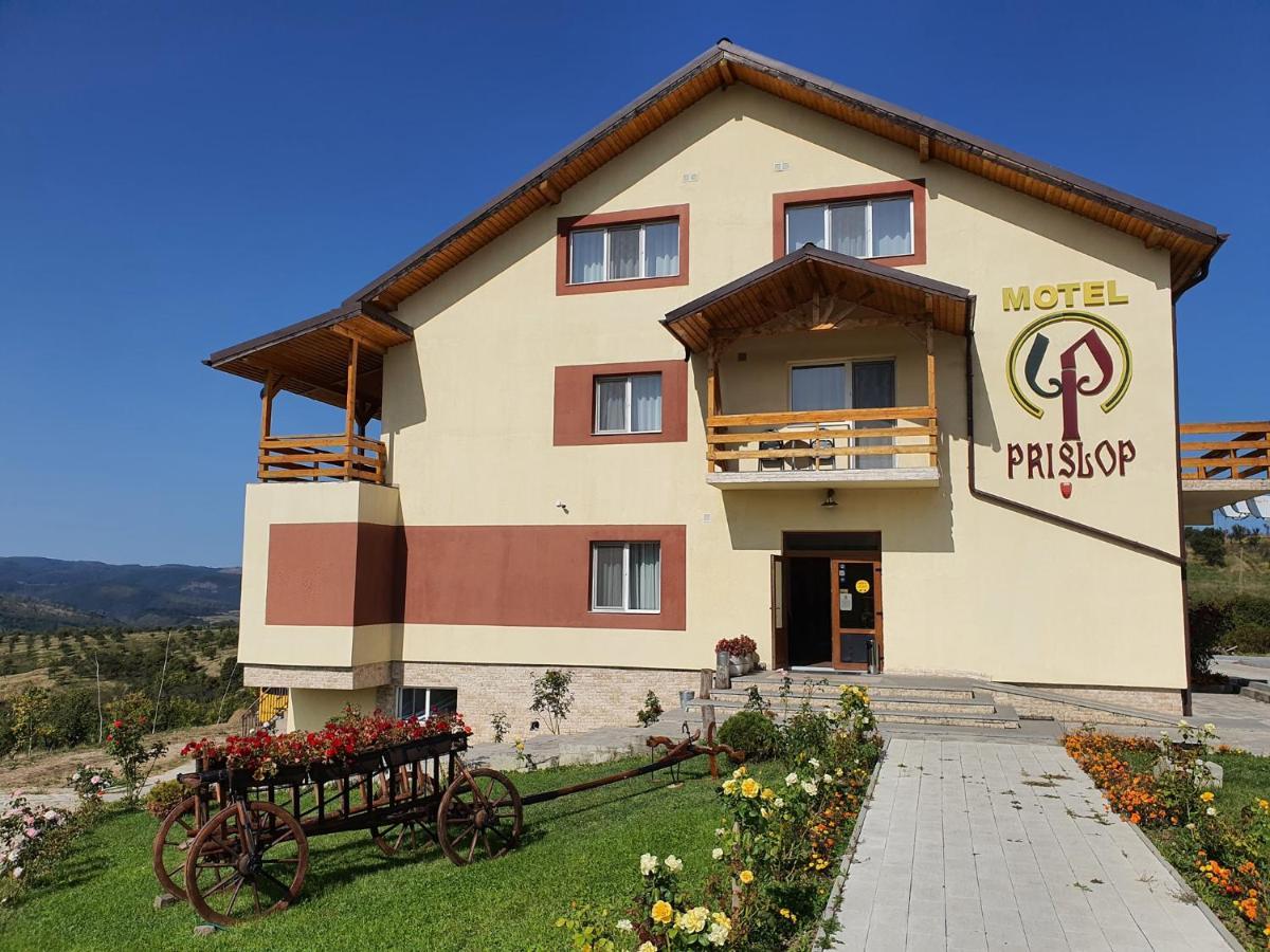 Motel Prislop Haţeg 外观 照片
