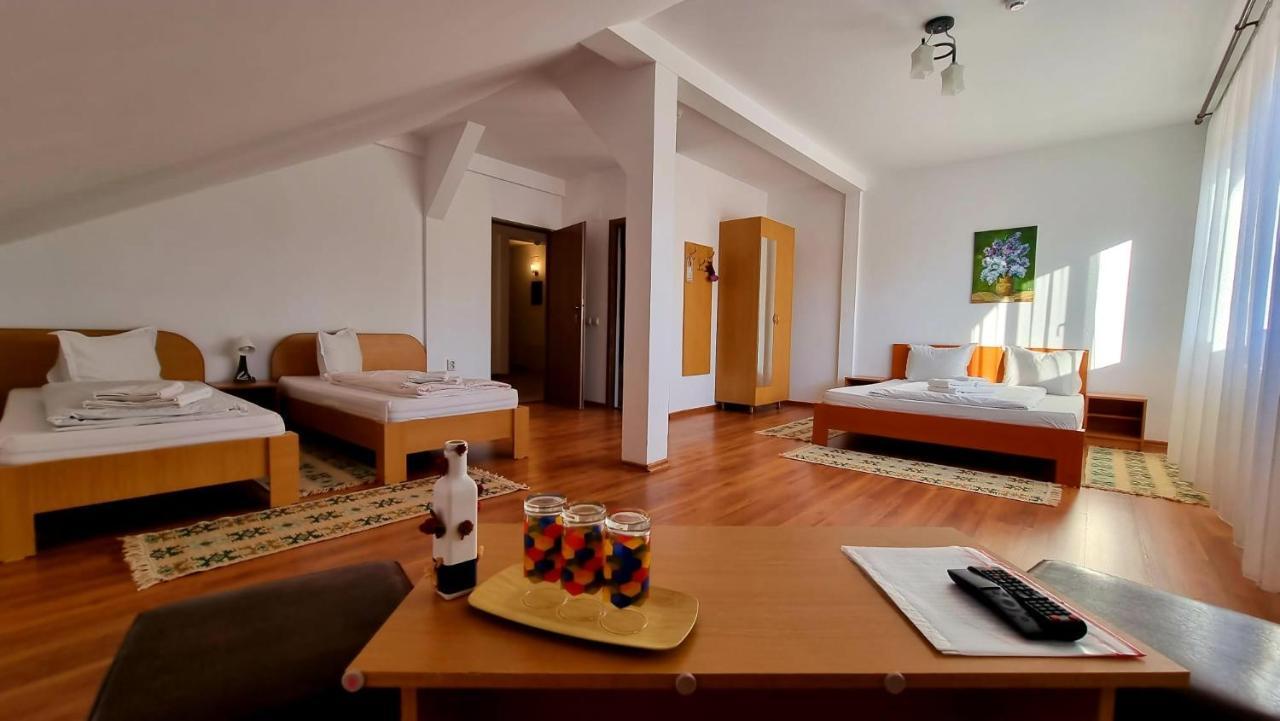 Motel Prislop Haţeg 外观 照片